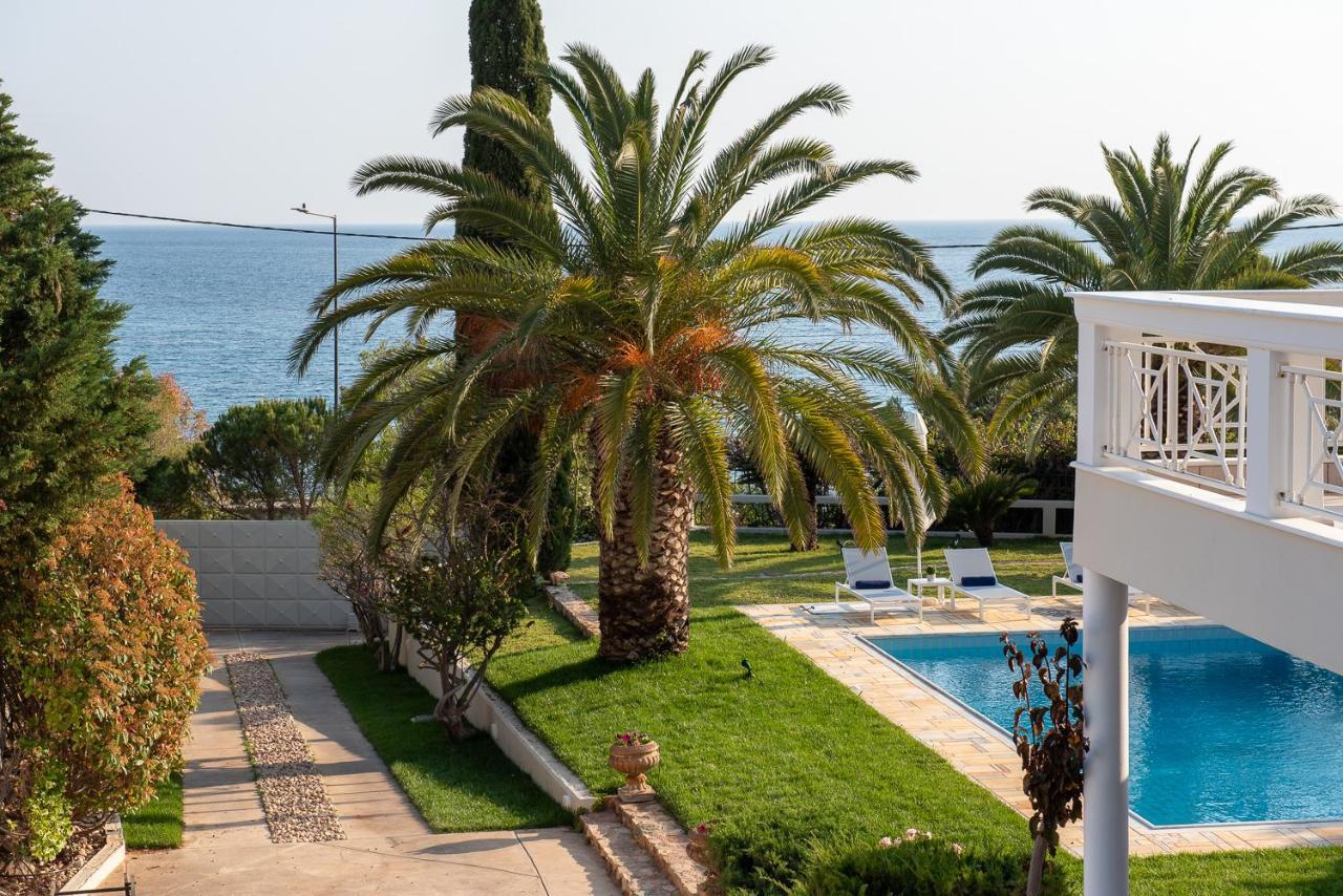 Kamariyo Athens Riviera By A&D Properties Palaia Fokaia Bagian luar foto